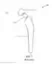 Fig. 02 - COMPUTER ASSISTED IMPLANT PLACEMENT