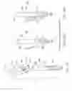 Fig. 08 - DENTAL MEASURING ABUTMENT AND ASSEMBLY
