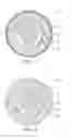 Fig. 02 - HUMAN IMPLANTABLE TISSUE EXPANDERS