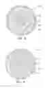 Fig. 03 - HUMAN IMPLANTABLE TISSUE EXPANDERS