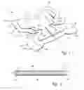 Fig. 02 - Medical dressing