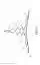 Fig. 12 - Sanitary napkin with foldable flow-guide unit