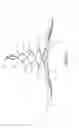 Fig. 14 - Sanitary napkin with foldable flow-guide unit