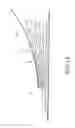 Fig. 15 - Sanitary napkin with foldable flow-guide unit