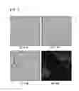 Fig. 02 - Co-emulsification composition containing various emulsification particle sizes and method for preparing same