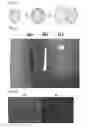 Fig. 02 - CHEMICALLY ANISOTROPIC POWDER, AND COSMETIC COMPOSITION CONTAINING SAME