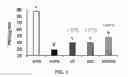 Fig. 02 - Composition including ionone or salt thereof as active ingredient and having effect of enhancing skin moisturizing, exfoliating skin, improving skin elasticity, inhibiting erythema, improving skin wrinkles, or alleviating skin photoaging