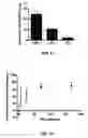 Fig. 07 - Polymer implants for treatment of metabolic disorders
