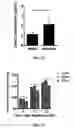 Fig. 09 - Polymer implants for treatment of metabolic disorders