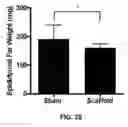 Fig. 16 - Polymer implants for treatment of metabolic disorders