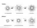 Fig. 01 - HIGH DENSITY LIPOPROTEIN FUNCTIONALIZED MAGNETIC NANOSTRUCTURES