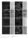 Fig. 06 - NANOPARTICLES FOR LIPID HOMEOSTASIS
