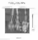 Fig. 17 - NANOPARTICLES FOR LIPID HOMEOSTASIS