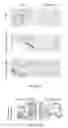 Fig. 20 - NANOPARTICLES FOR LIPID HOMEOSTASIS
