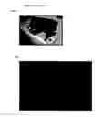 Fig. 05 - Use Of Xanthophyll Carotenoids To Improve Visual Performance And Neural Efficiency