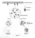 Fig. 02 - SMALL MOLECULE THERAPEUTIC COMPOUNDS TARGETING THIOESTERASE DEFICIENCY DISORDERS AND METHODS OF USING THE SAME