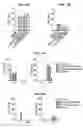Fig. 03 - iNKT cell modulators and methods of using the same