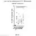Fig. 16 - iNKT cell modulators and methods of using the same