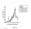 Fig. 19 - iNKT cell modulators and methods of using the same