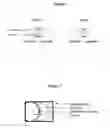 Fig. 07 - Method for reversing, preventing, delaying or stabilizing soft tissue calcification