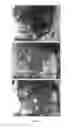 Fig. 04 - Compositions and methods for the prevention and treatment of mast cell-induced vascular leakage