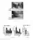 Fig. 05 - Compositions and methods for the prevention and treatment of mast cell-induced vascular leakage