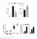 Fig. 06 - Compositions and methods for the prevention and treatment of mast cell-induced vascular leakage