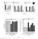 Fig. 07 - Compositions and methods for the prevention and treatment of mast cell-induced vascular leakage