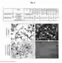 Fig. 07 - CRYSTAL FORMS OF APOMORPHINE AND USES THEREOF