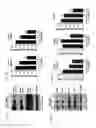 Fig. 02 - Methods for treating tauopathy