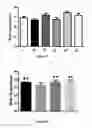 Fig. 06 - GINSENOSIDE COMPOSITION, AND PREPARATION METHOD AND USE THEREOF