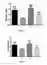 Fig. 07 - GINSENOSIDE COMPOSITION, AND PREPARATION METHOD AND USE THEREOF