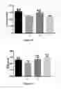 Fig. 08 - GINSENOSIDE COMPOSITION, AND PREPARATION METHOD AND USE THEREOF