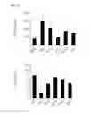 Fig. 27 - COMPOSITION FOR PREVENTING OR TREATING COLITIS