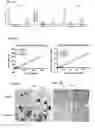 Fig. 37 - Biomarkers for predicting responsiveness to decitabine therapy