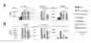 Fig. 01 - Bispecific OR-gate chimeric antigen receptor responsive to CD19 and CD20