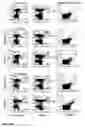 Fig. 02 - METHOD FOR THE IDENTIFICATION OF TRANSIENTLY FOXP3 NEGATIVE REGULATORY T-CELLS FROM HUMAN PERIPHERAL BLOOD