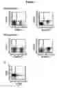 Fig. 02 - Composition including stem cell-derived microvesicles for promoting neurogenesis