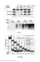 Fig. 12 - Compositions and methods for CaMKII inhibitors and uses thereof