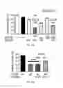Fig. 30 - Compositions and methods for CaMKII inhibitors and uses thereof
