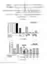 Fig. 31 - Compositions and methods for CaMKII inhibitors and uses thereof
