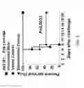 Fig. 06 - Human adenovirus serotype 5 vectors containing E1 and E2B deletions encoding the ebola virus glycoprotein