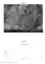 Fig. 02 - Polymeric Nanoparticle