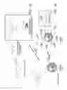 Fig. 02 - Optical sensor conjugates for detecting reactive oxygen and/or reactive nitrogen species in vivo