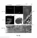 Fig. 08 - System and method for enhanced mass spectrometry imaging
