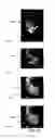 Fig. 09 - System and method for enhanced mass spectrometry imaging
