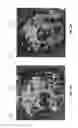 Fig. 13 - System and method for enhanced mass spectrometry imaging