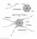 Fig. 01 - Immobilised biological entities