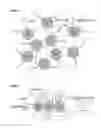Fig. 06 - Immobilised biological entities
