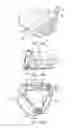 Fig. 07 - Golf club head